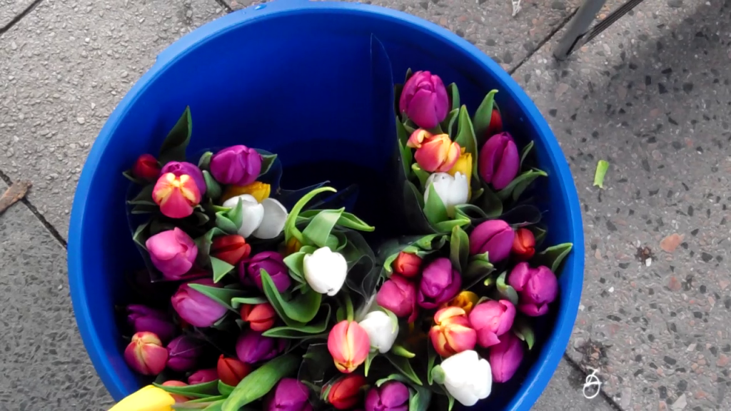 eimer mit bunten tulpen dankeschön spende