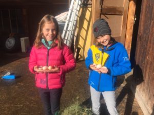 Küken-Projekt im Kindergarten Zermatt