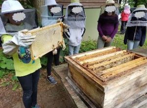 Schulbienen Hofheim