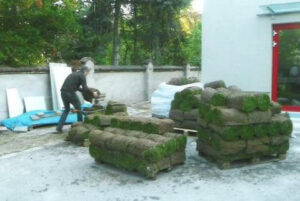 Rollrasen Kita Spatzennest