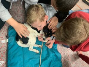 Ein Hund liegt in der Mitte, Kinder hocken rundherum