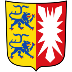 Tobias Goldschmidt