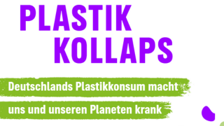 Fakten zum Klima-Kollaps