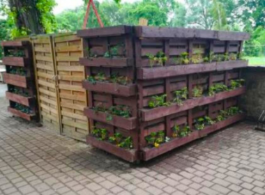 Palettenbeet