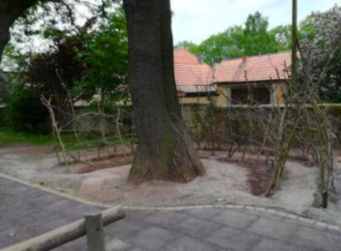 Weidentunnel auf den Schulhof